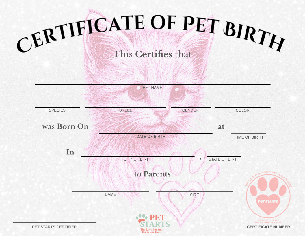 Pink Pawprint Kitten Birth Certificate